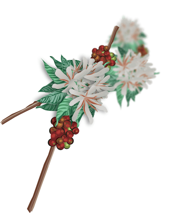 Image is not available